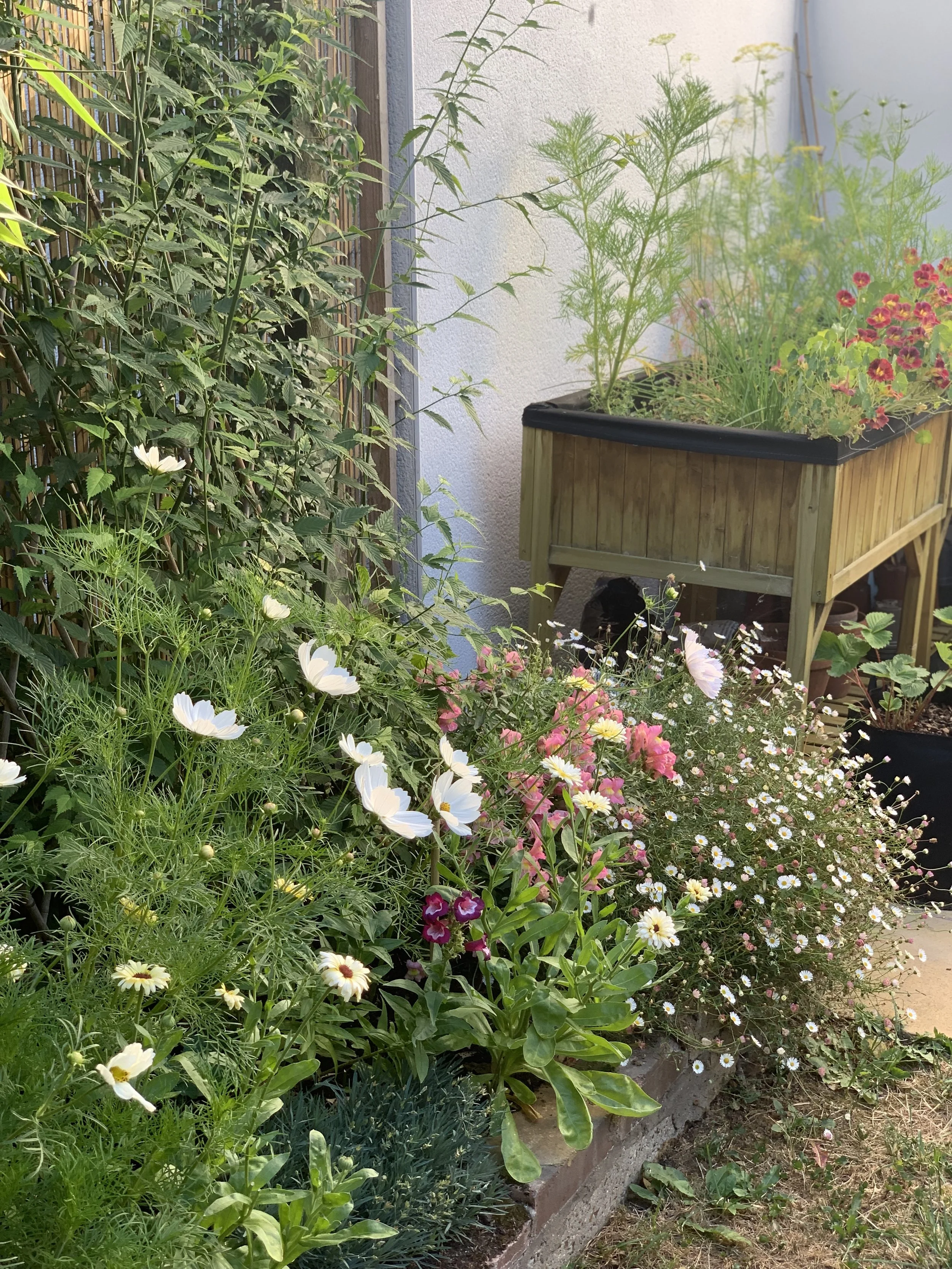 Garden Soil vs. Potting Soil: How to Choose the Right One