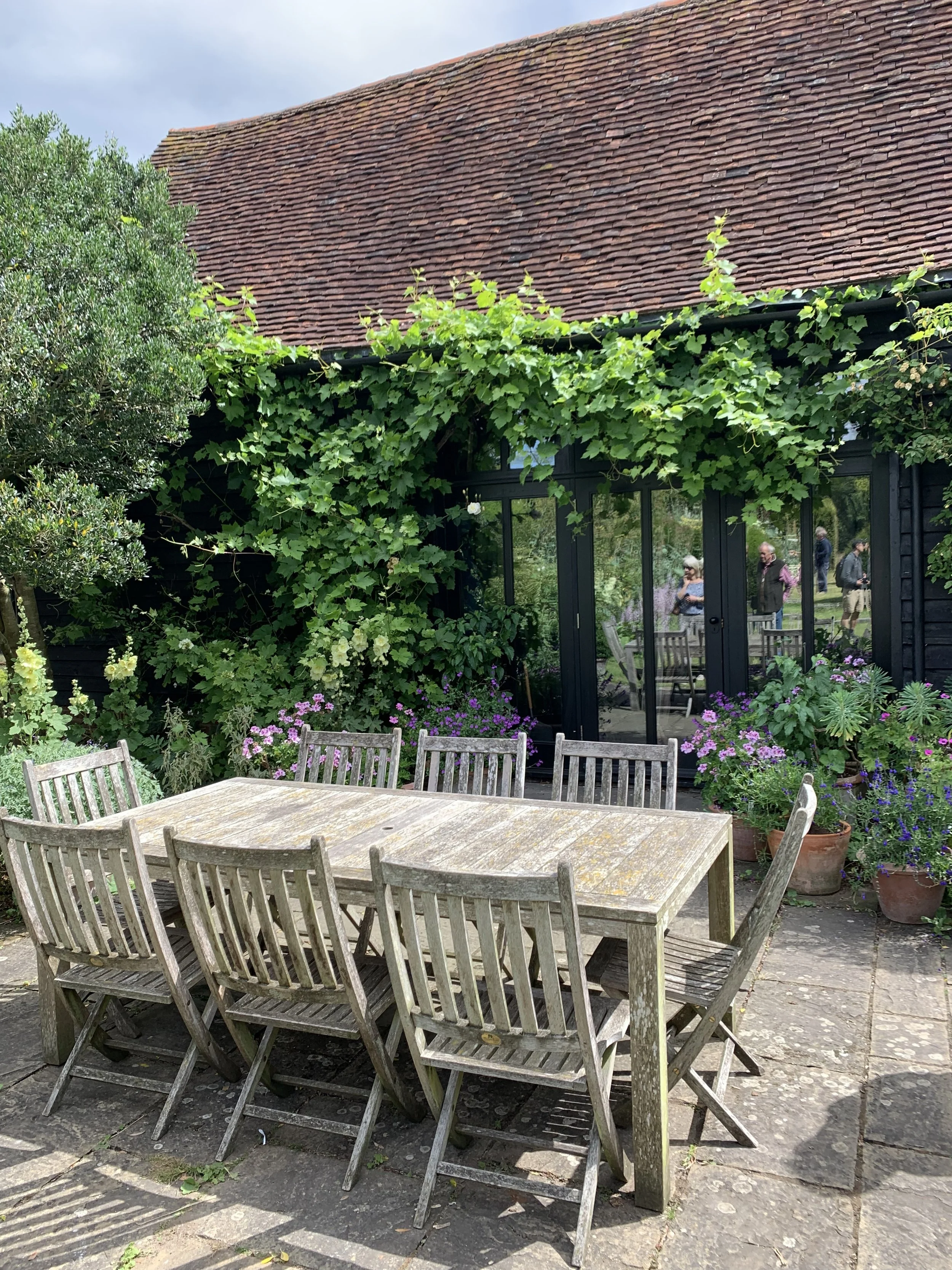 The Best Plants for a South Facing Garden — Meadowlark Journal