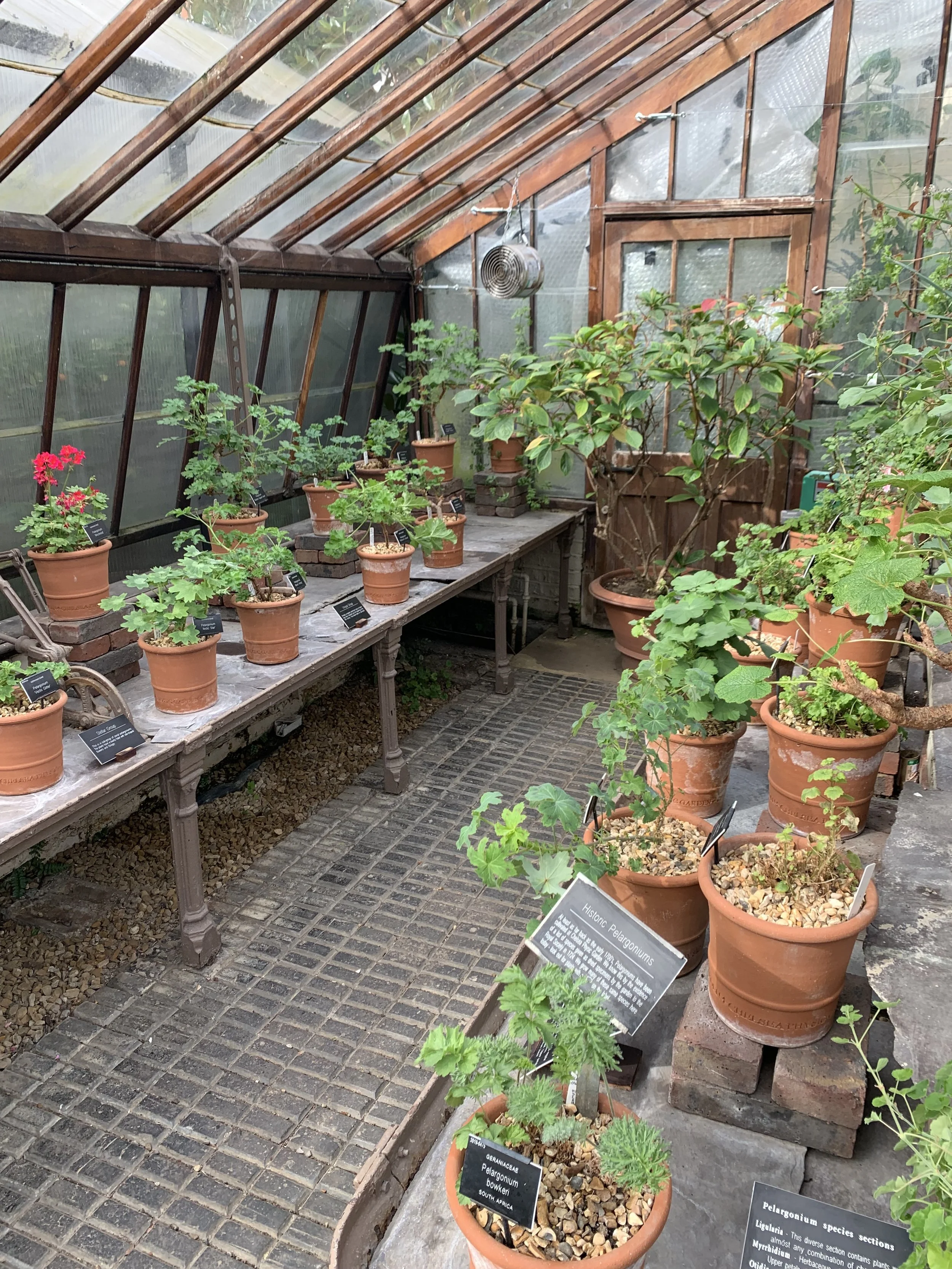 How Does a Greenhouse Work? — Meadowlark Journal