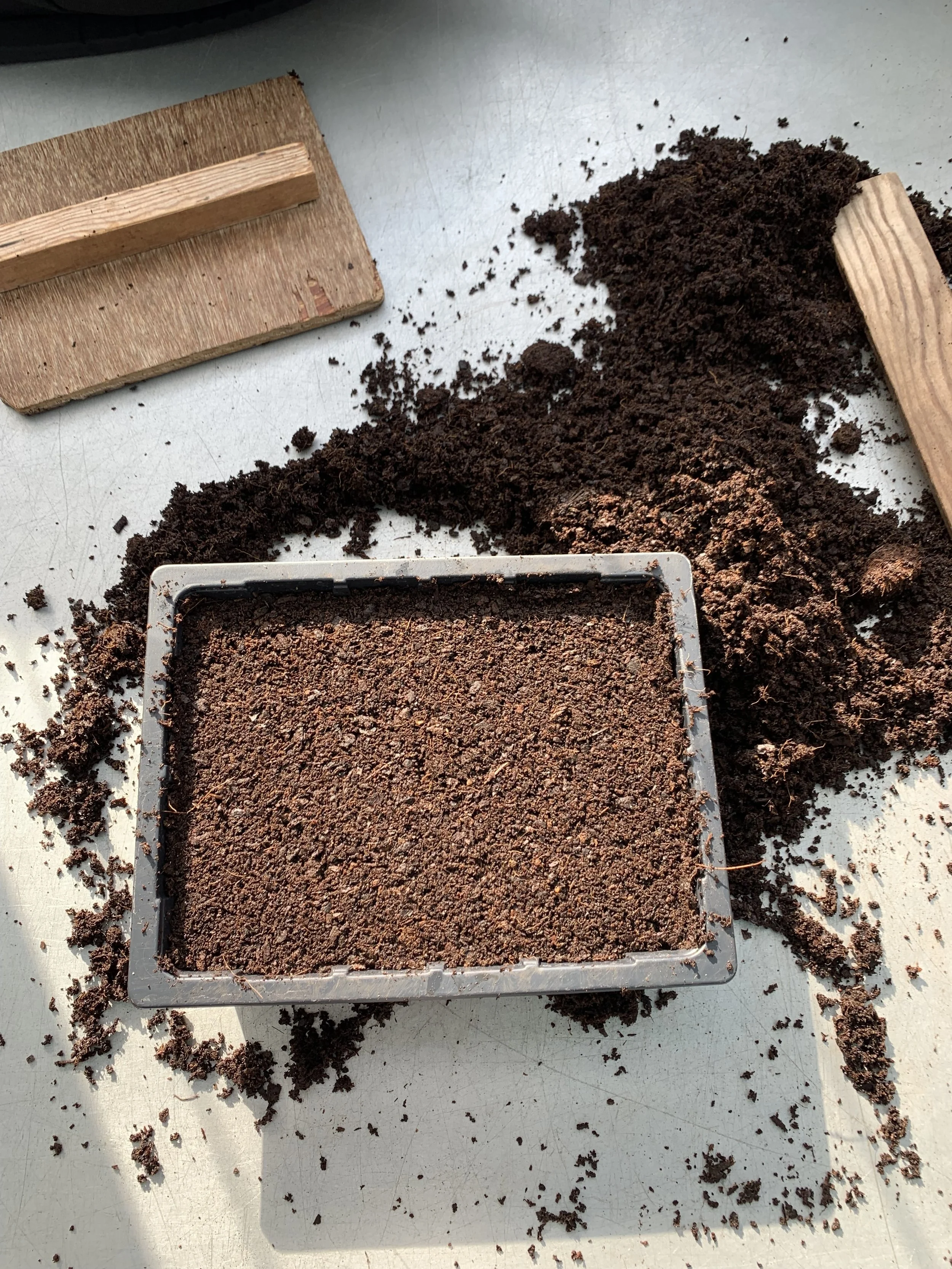 The Best Seed Starting Mix