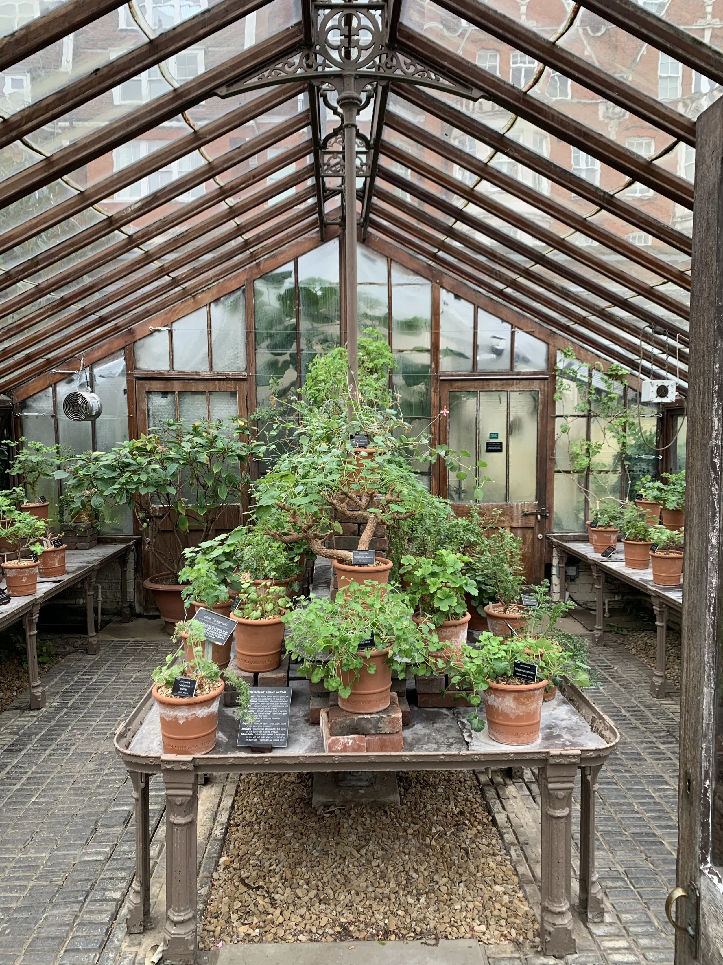 How Does a Greenhouse Work?