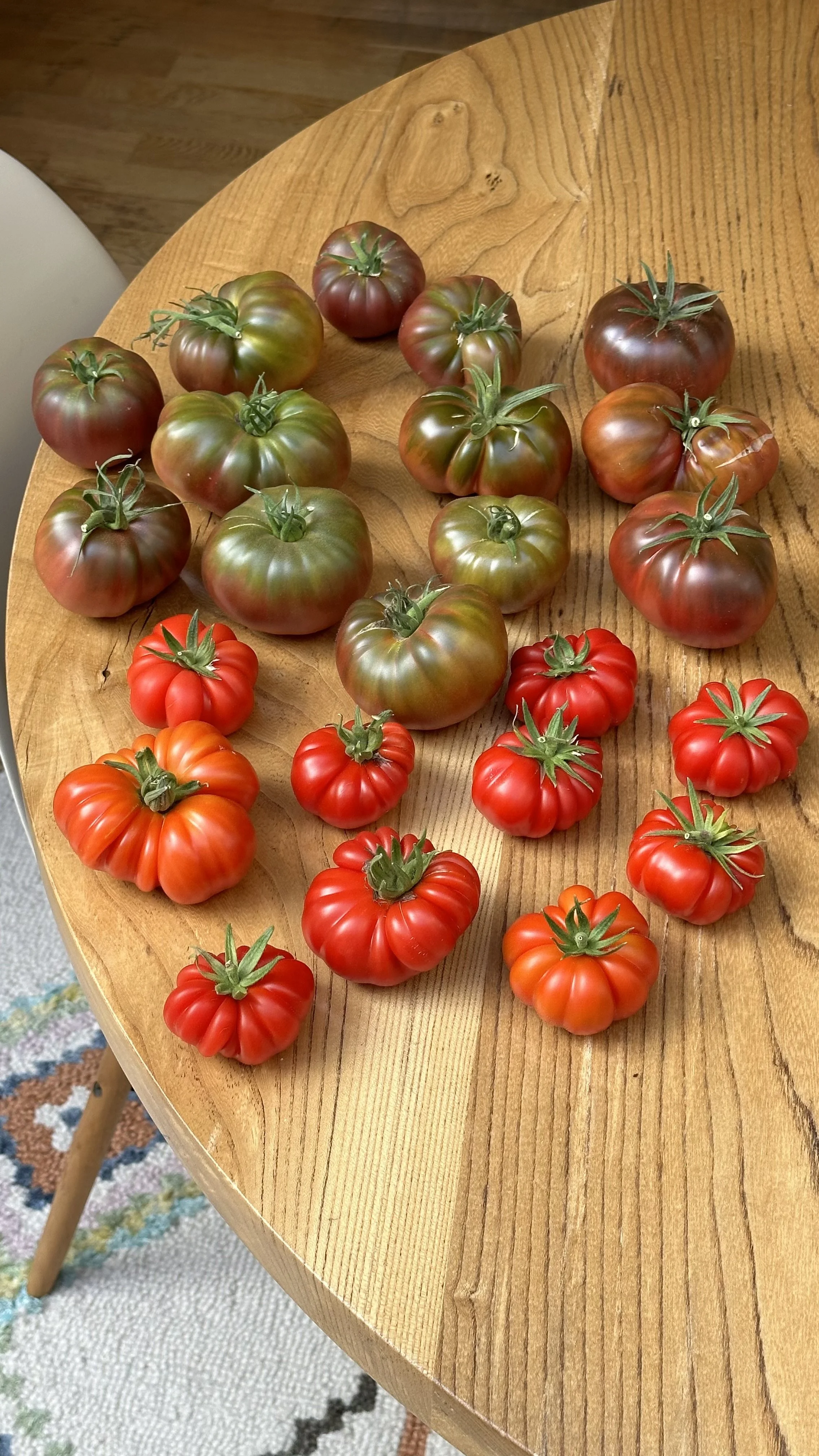 Are Coffee Grounds Good for Tomato Plants? — Meadowlark Journal