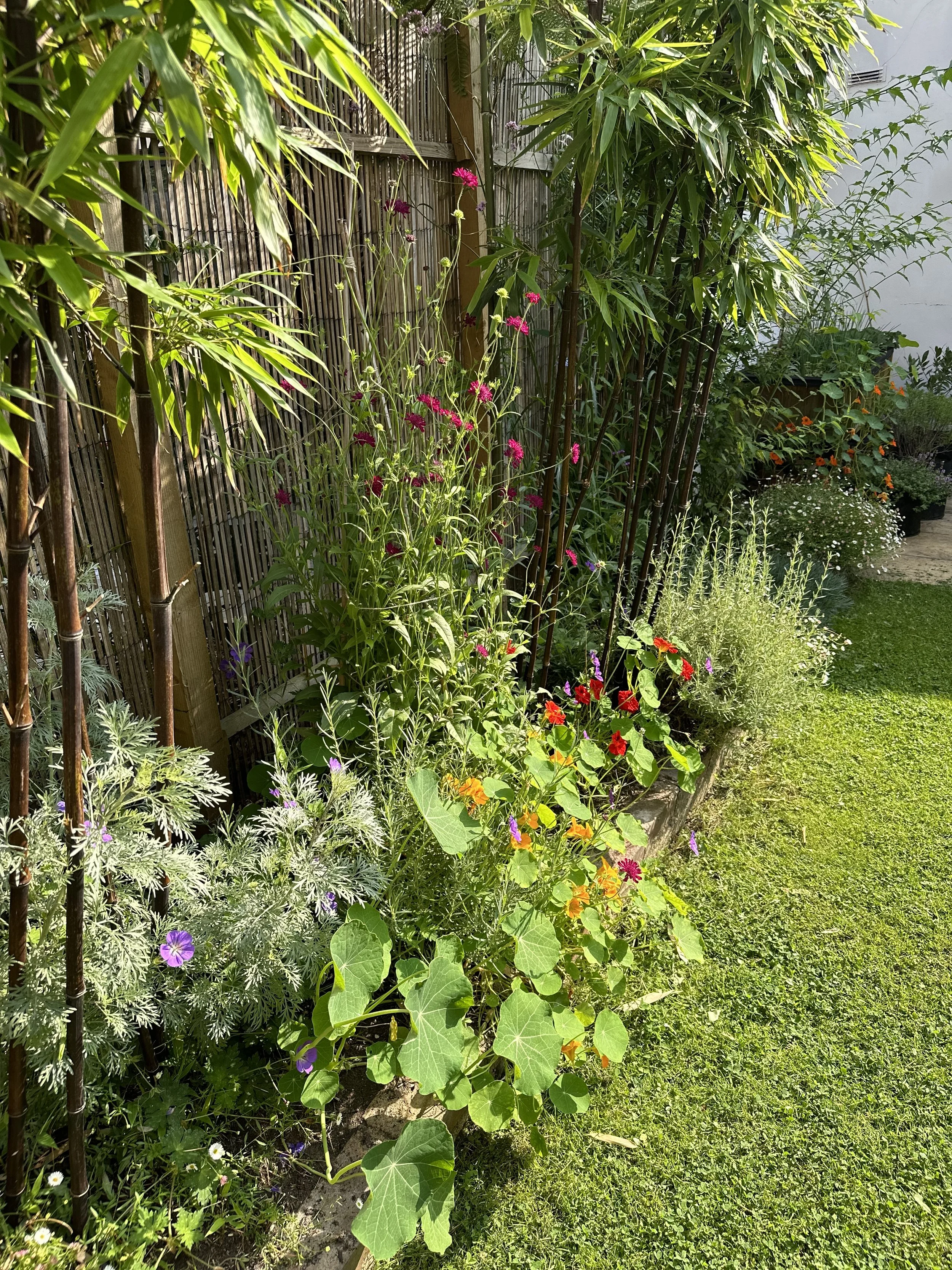 No Dig Gardening Method: Grow More with Less Effort