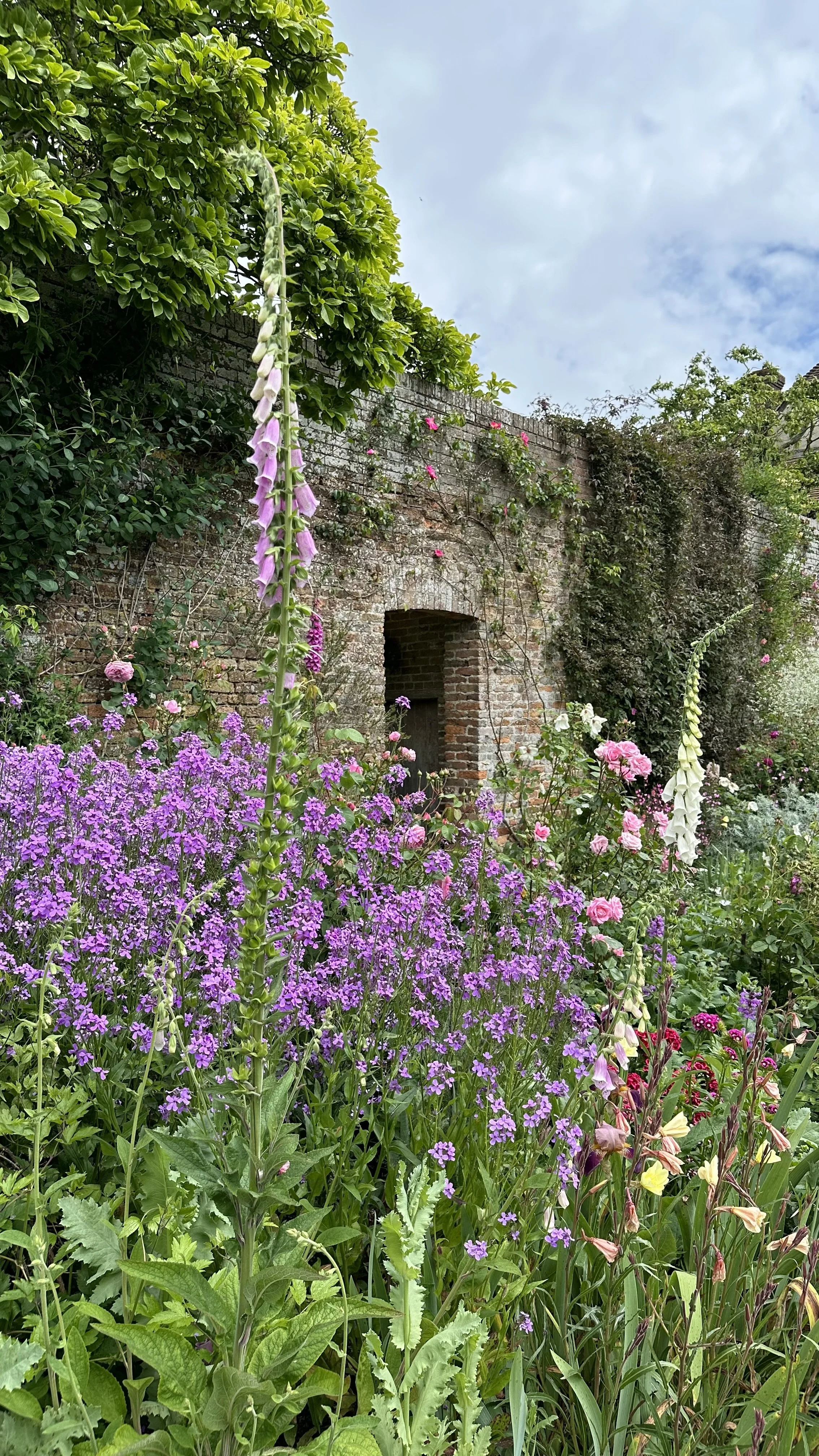 Maximizing the Magic of Northwest Facing Gardens