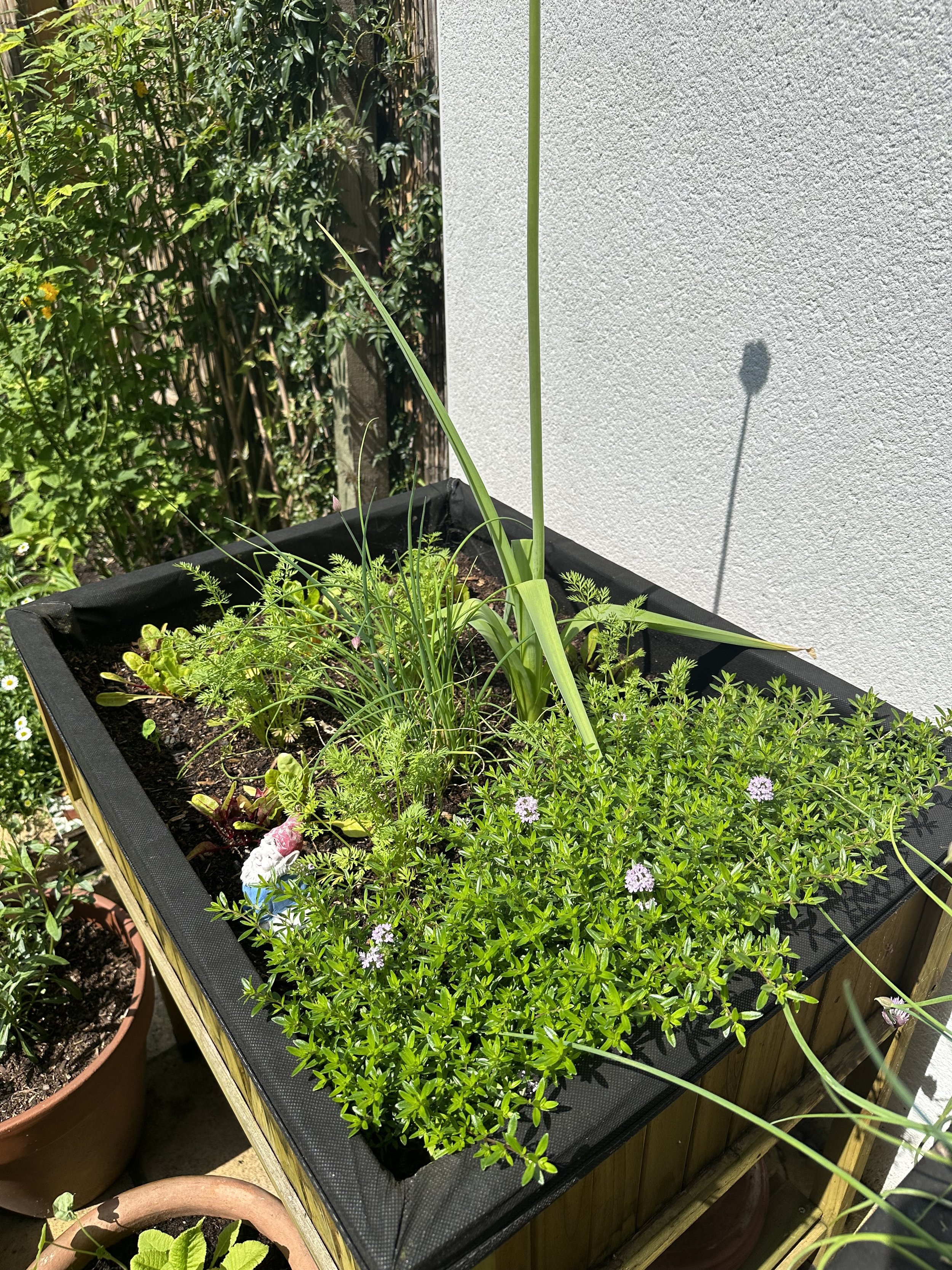 How to Start a Raised Bed Herb Garden