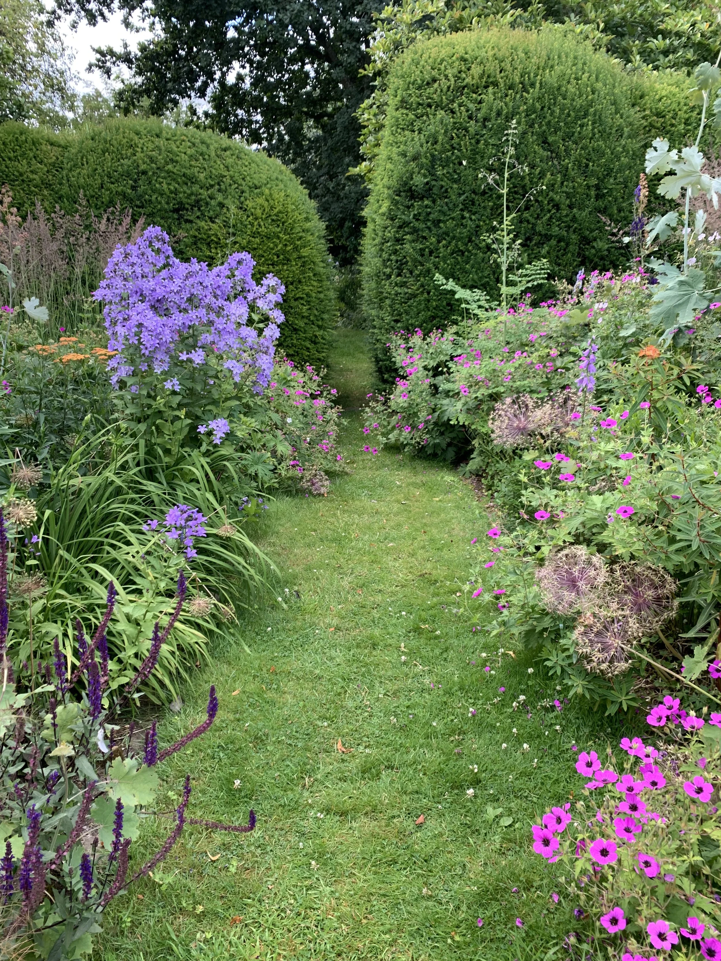 The Best Gardening Books for Beginners