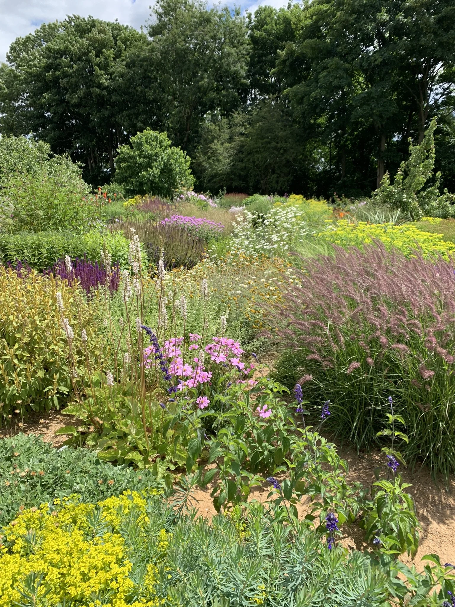 Tom Stuart Smith's Garden in Hertfordshire — Meadowlark Journal