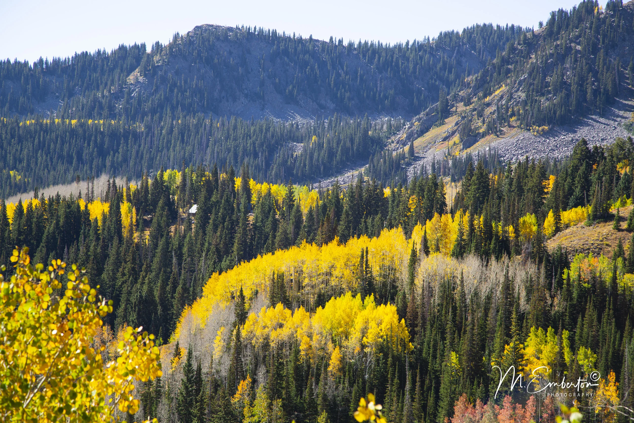 Guardsman View - Logo.jpg