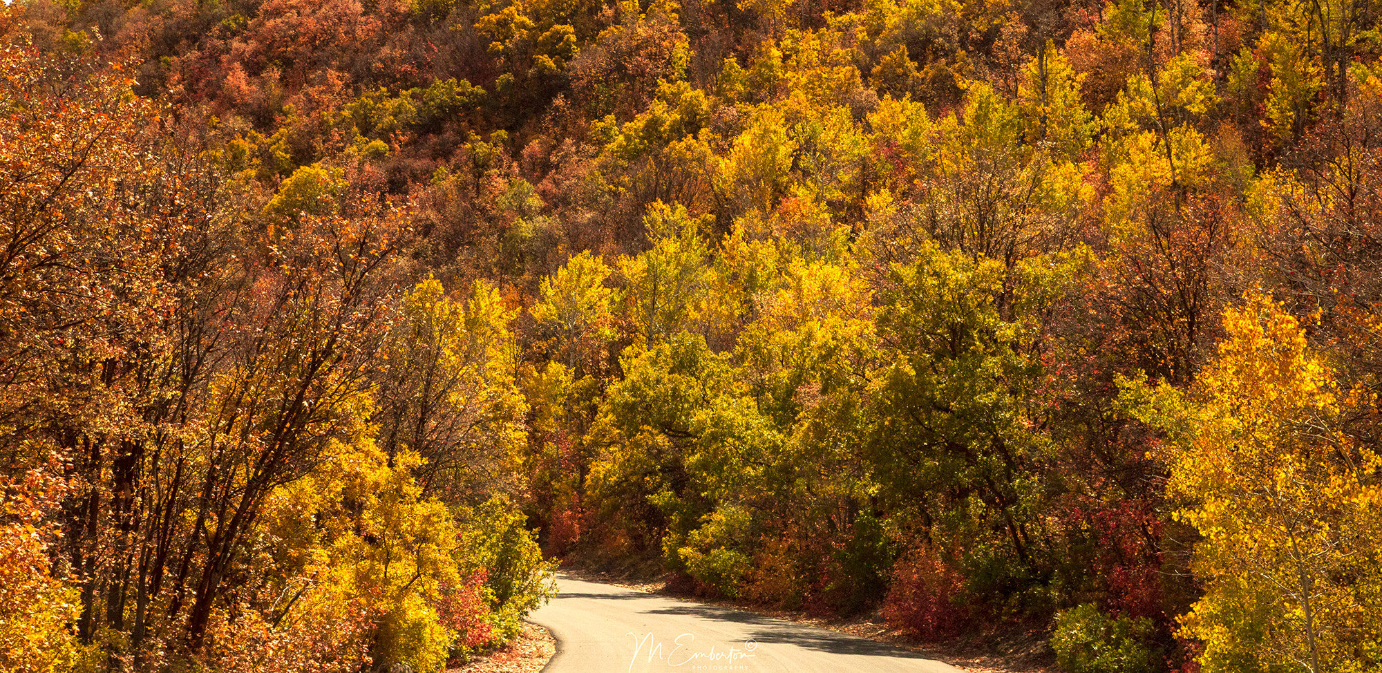 Fall-Colors-1-Oct-2019---copyright.jpg