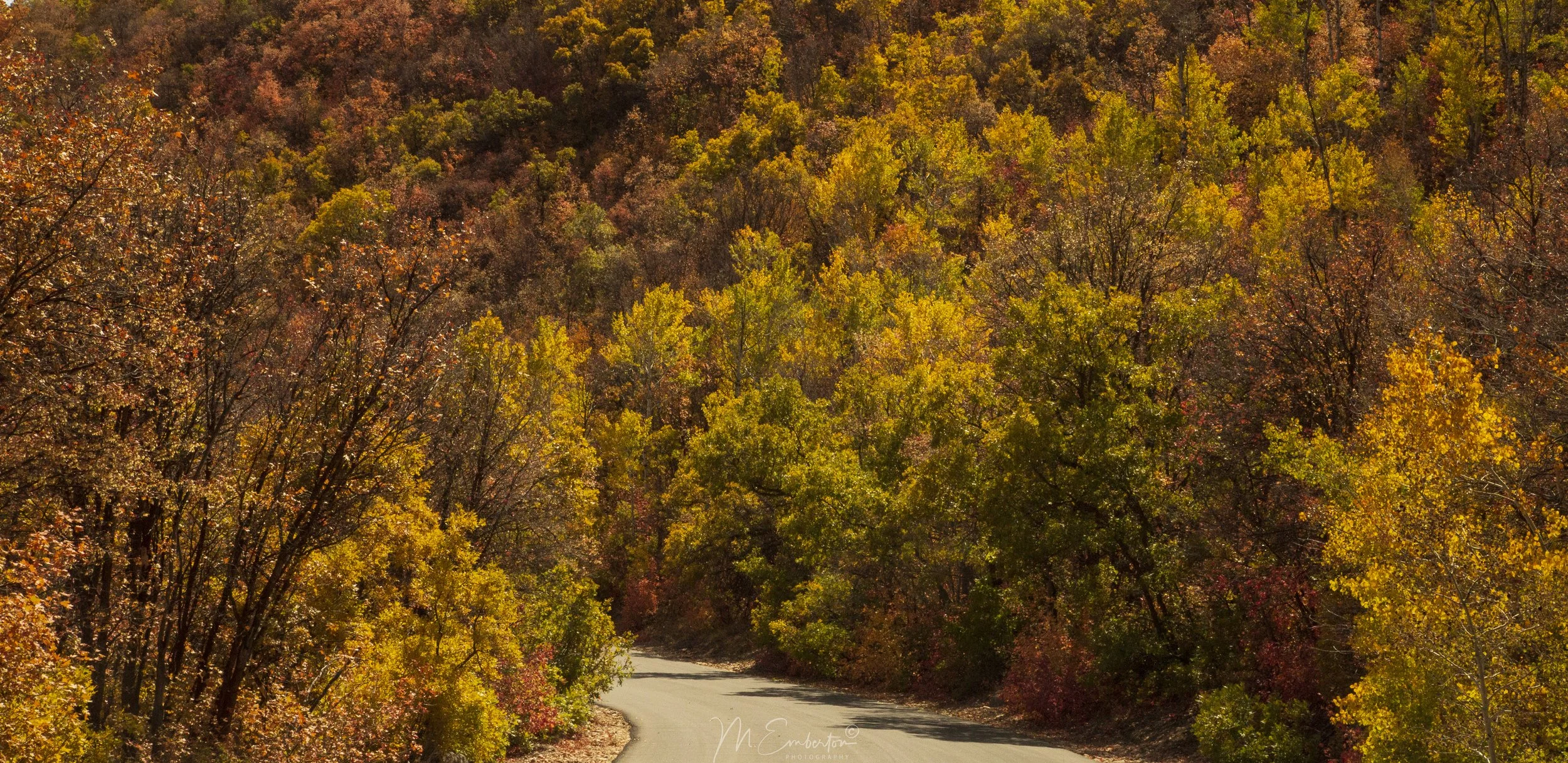 Fall Colors 1 Oct 2019 - small copyright.jpg