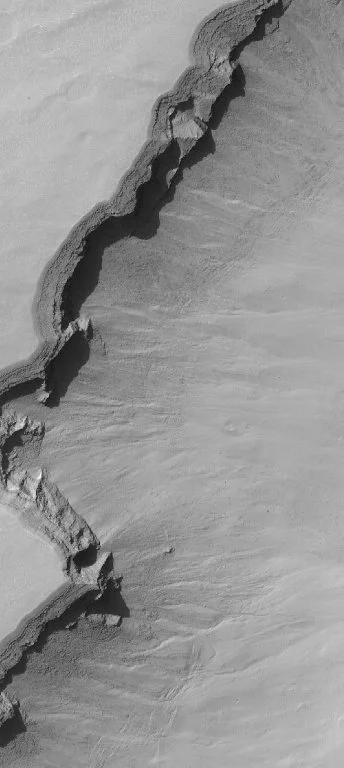 nasaedge.jpg