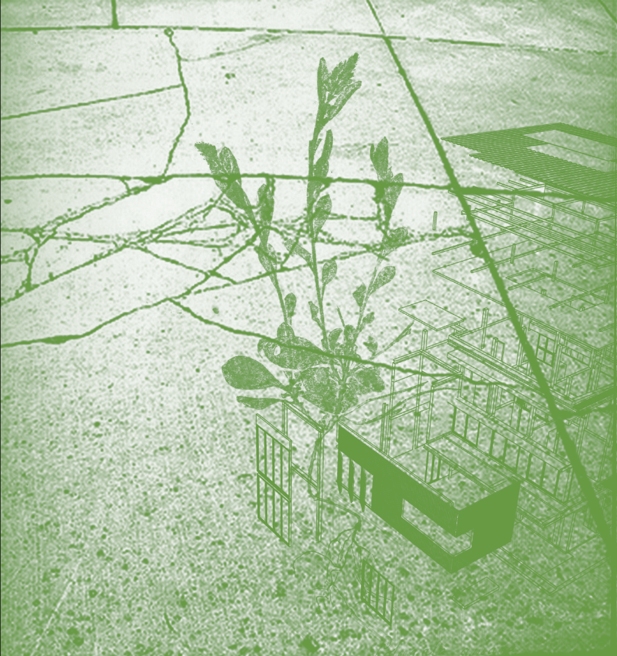 Screen Shot 2018-10-31 at 3.06.31 PM.png