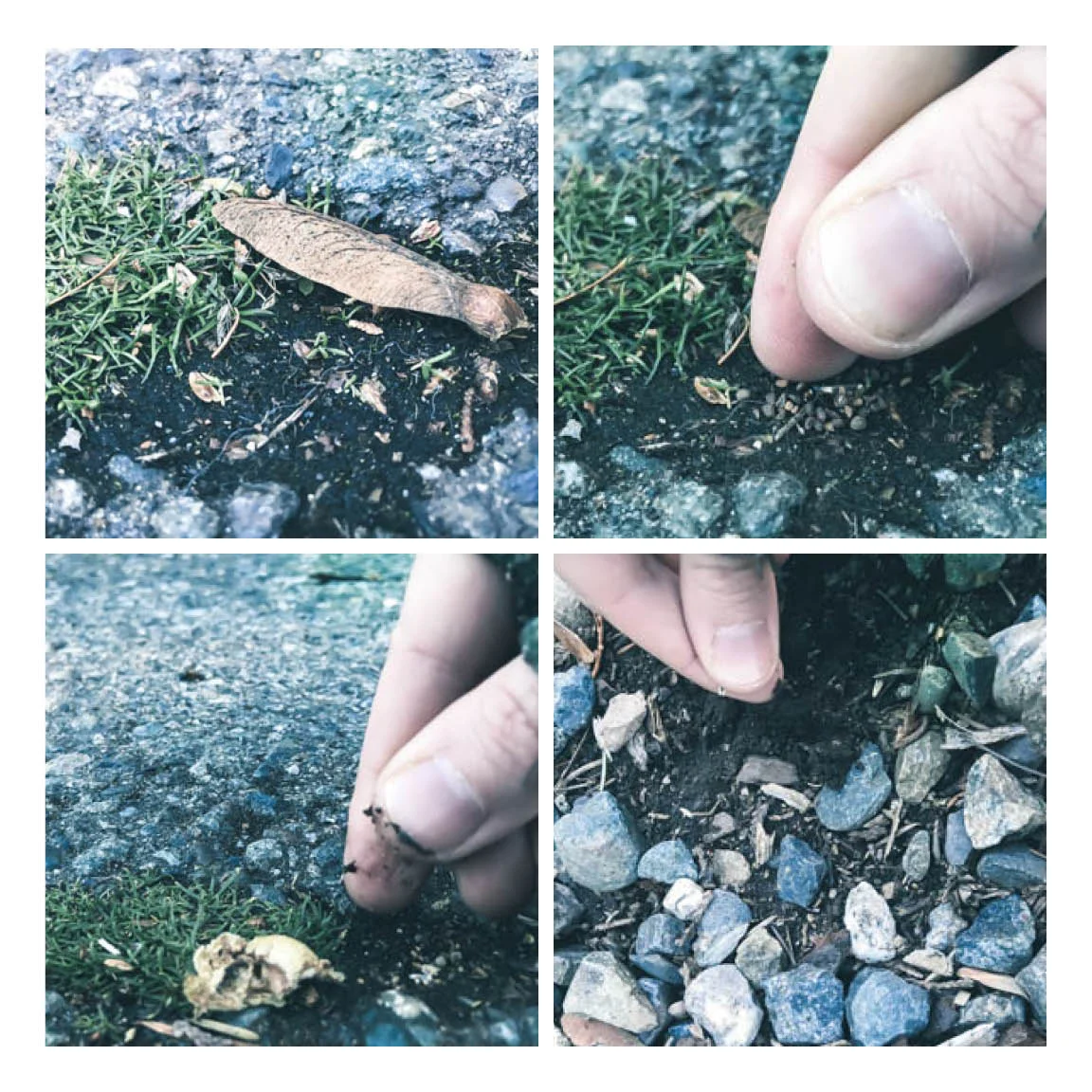 MIcrowild layout 4square2.jpg