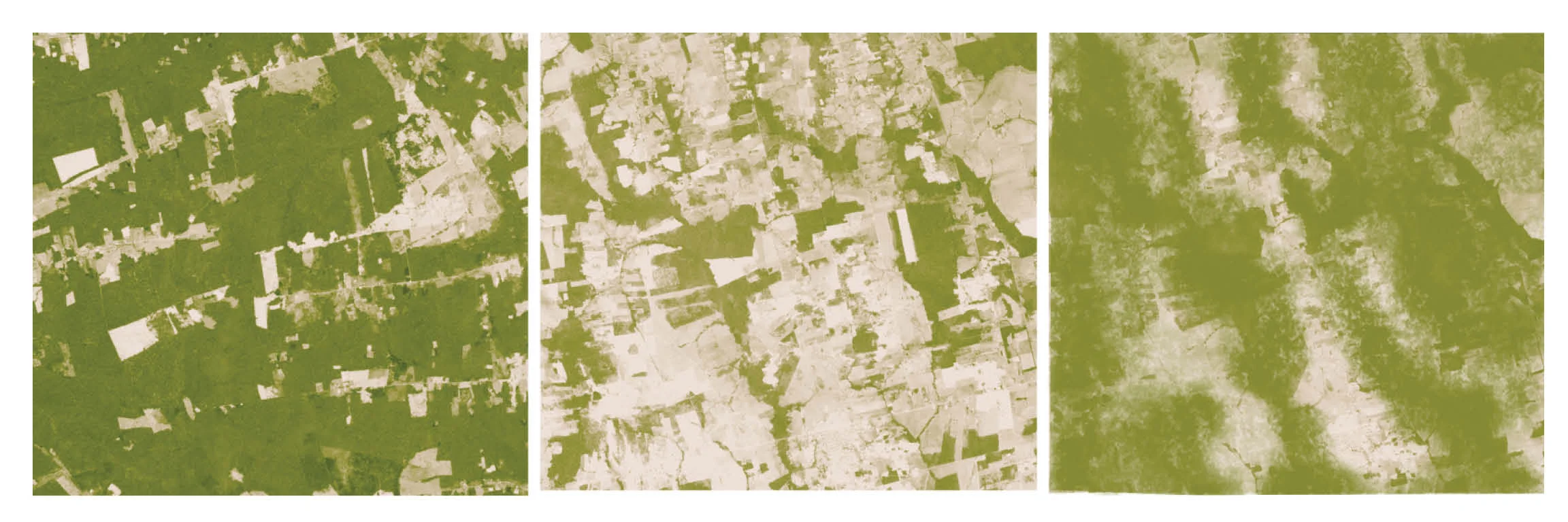  Deforestation &amp; Reforestation in Rondonia, Brazil 