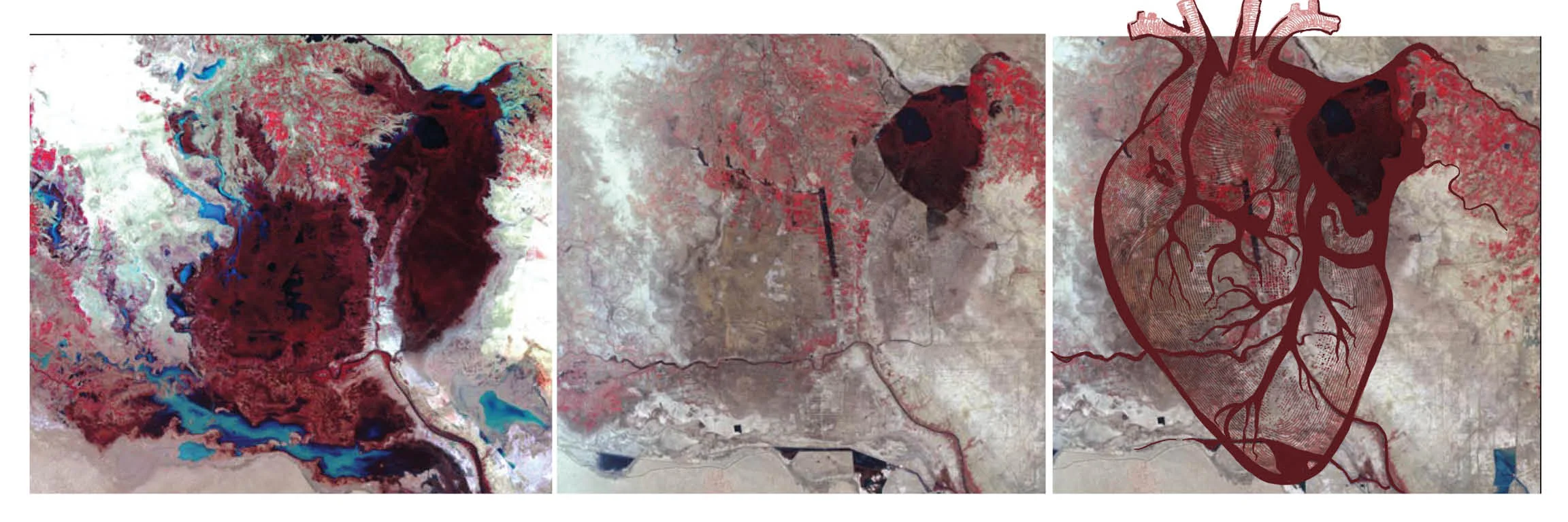  The Vanishing and Reappearing Marshes of Mesopotamia   (Images from Prelinger Archives)  