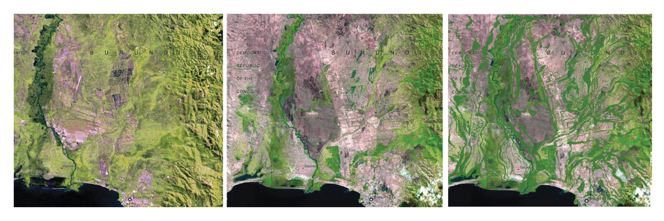  Riparian Degradation and Regeneration, Venezuela 