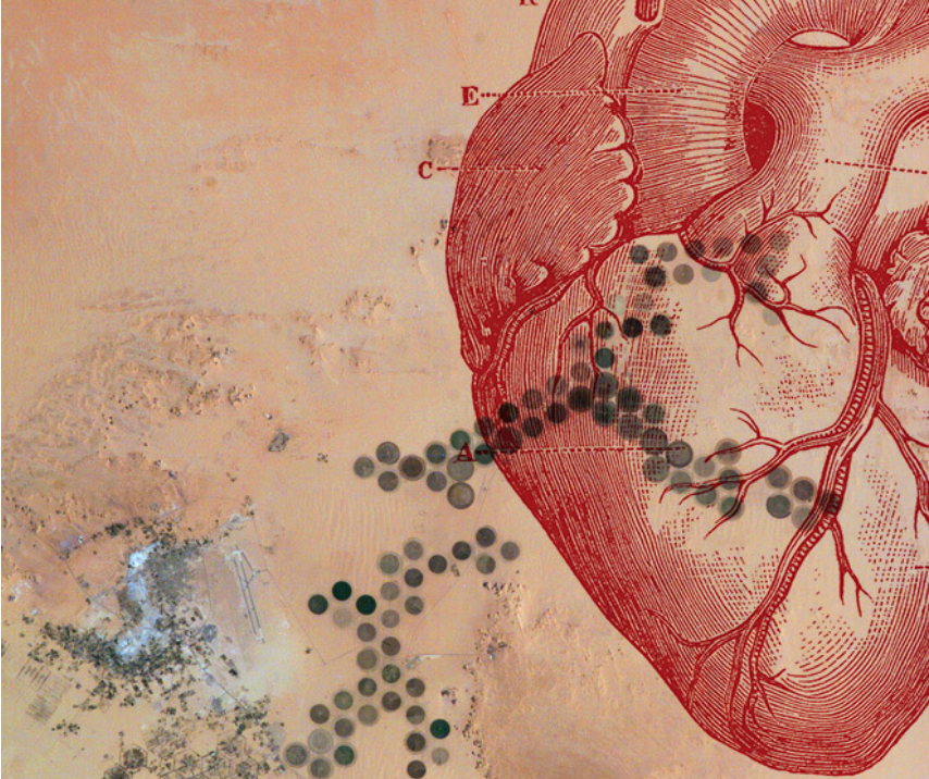 Screen Shot 2018-11-25 at 5.41.52 PM.png