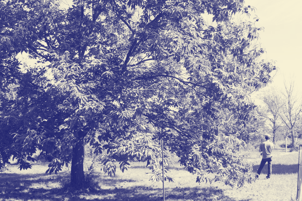 blueprint_tree.png