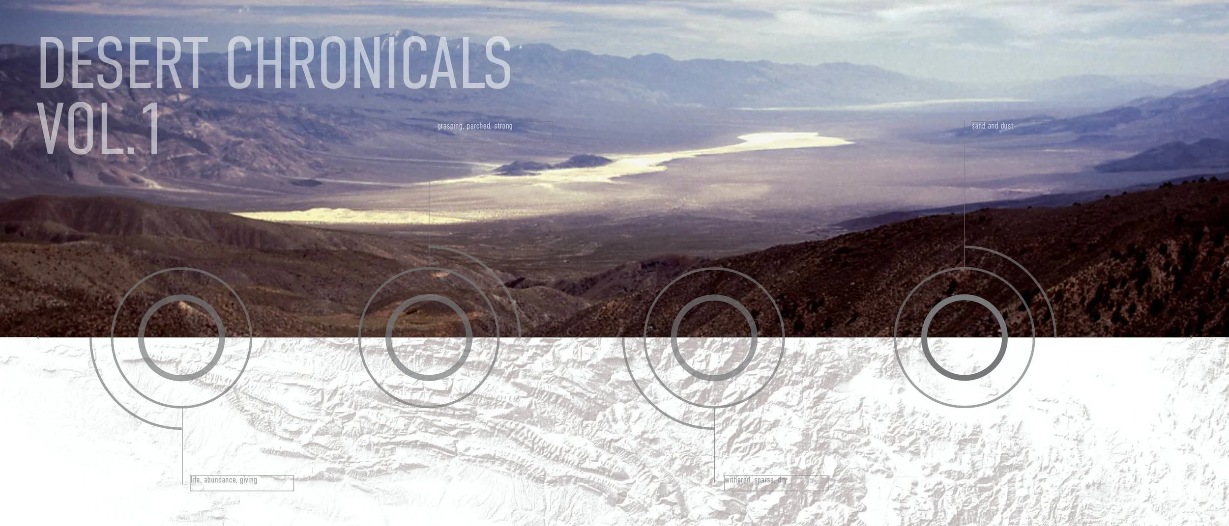 desert chronical cinematic master.jpg