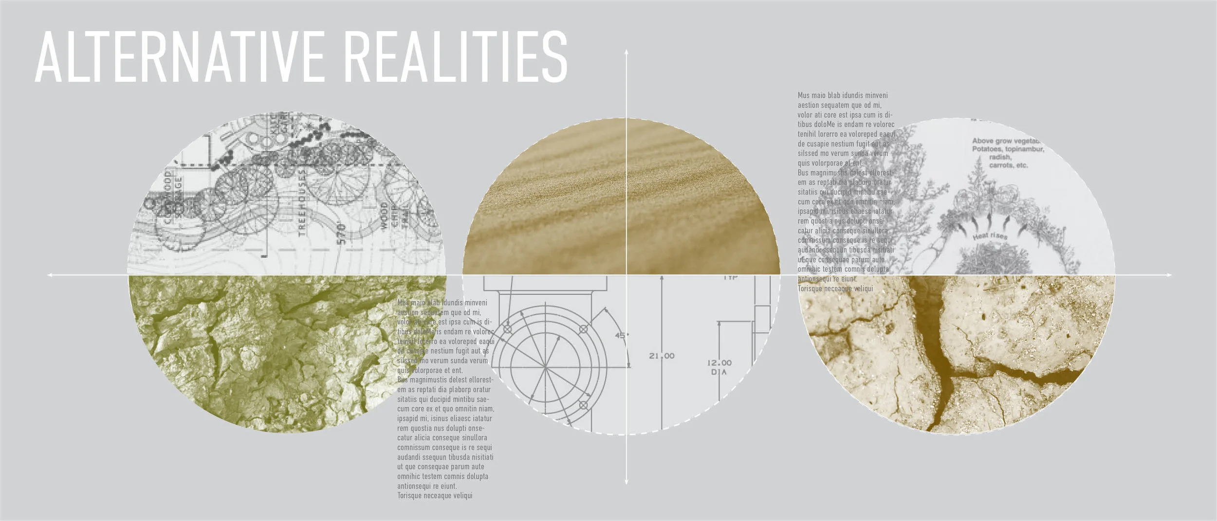 desert chronical cinematic9.jpg