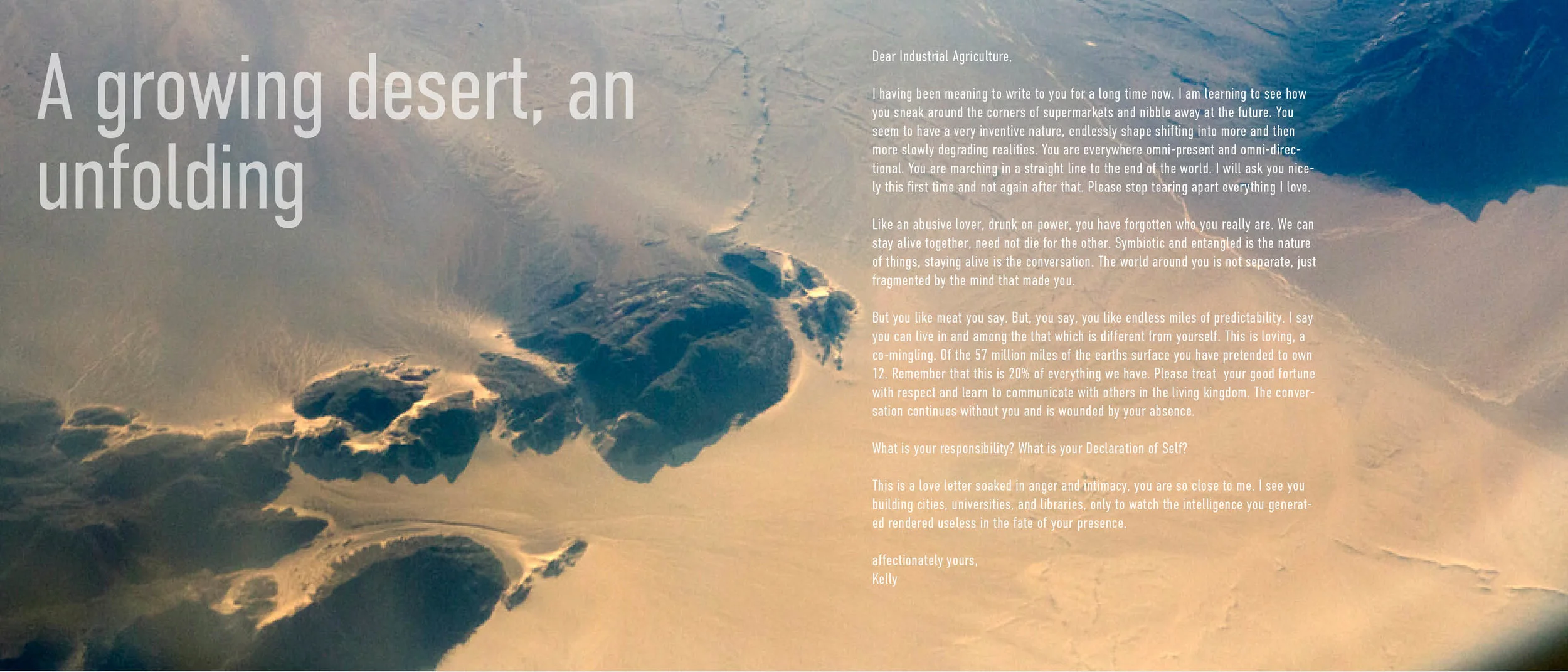 desert chronical cinematic3.jpg