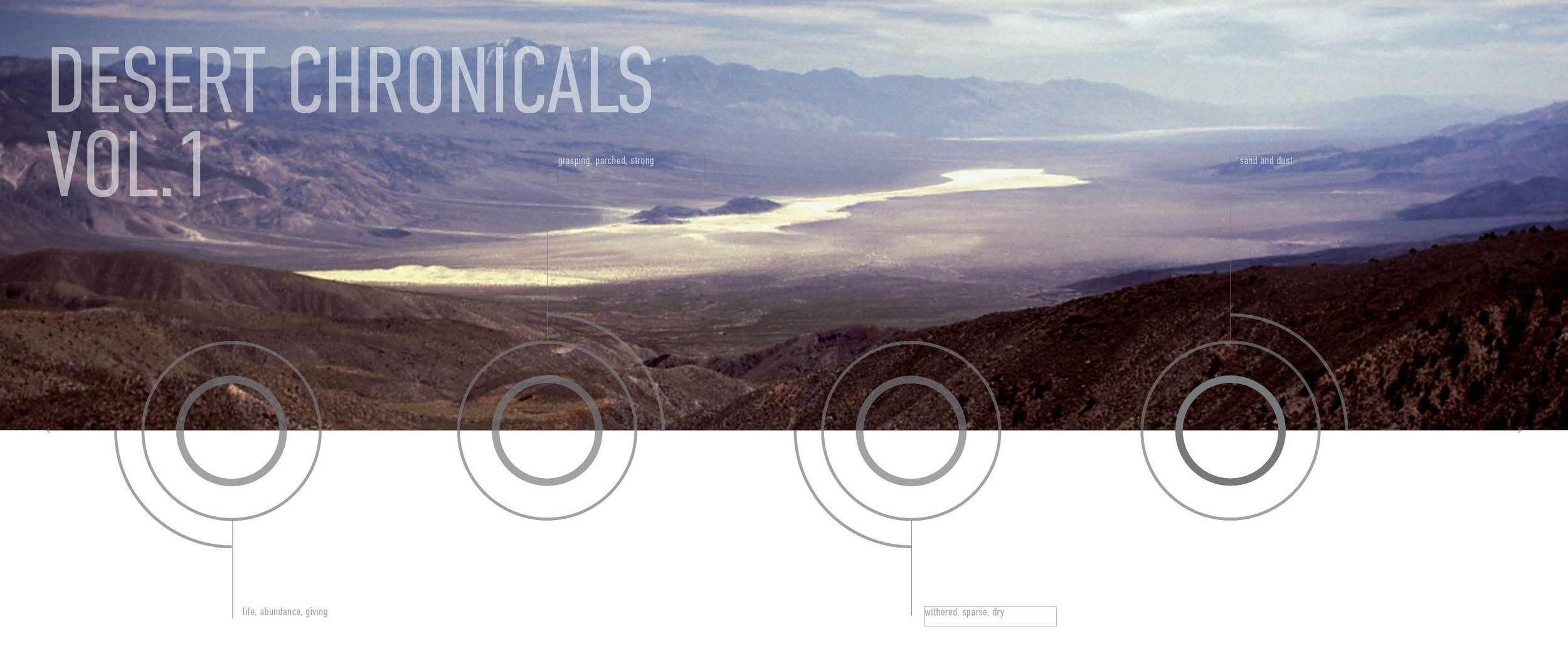 desert chronical cinematic simple.jpg