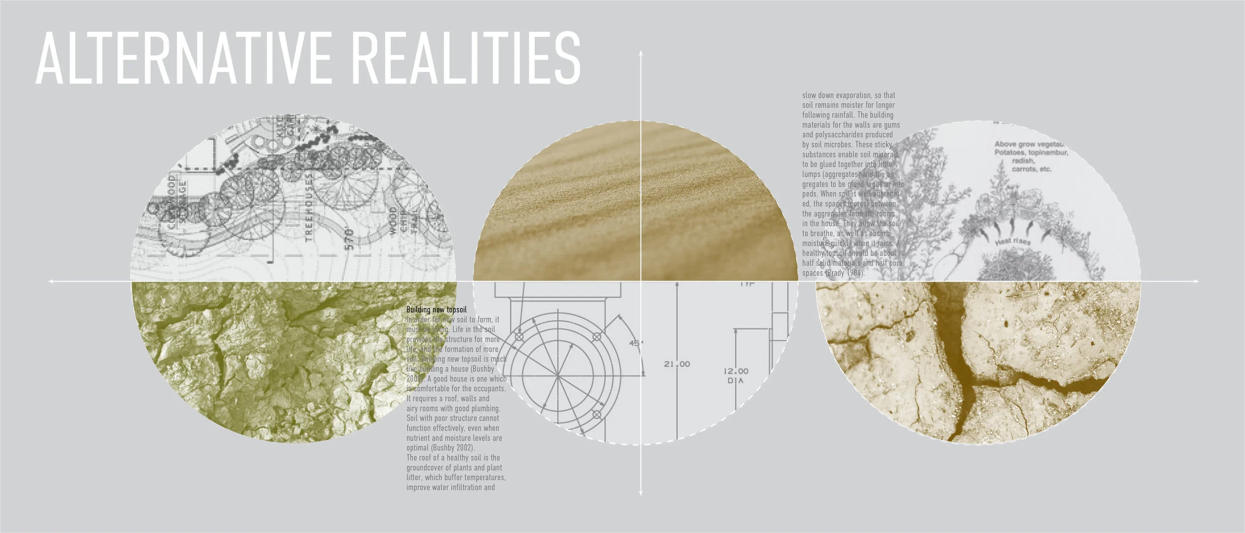 desert chronical cinematic master_final9.jpg