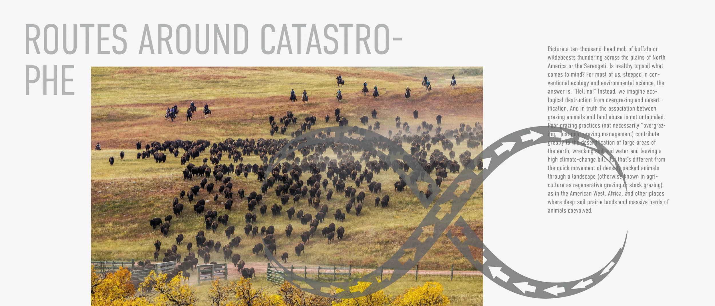 desert chronical cinematic master_final14.jpg