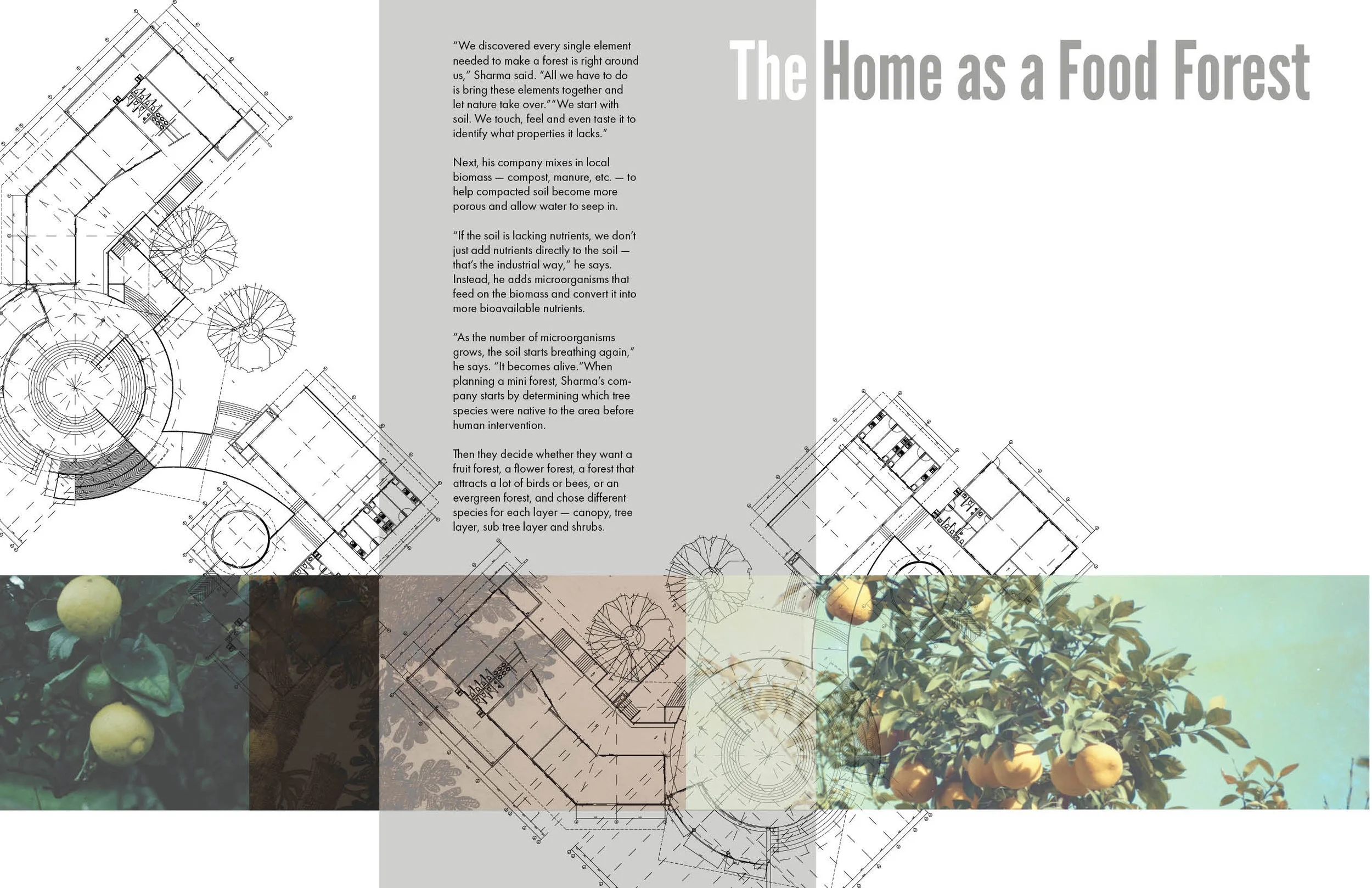 Tales from a City Reimagined_final.jpg