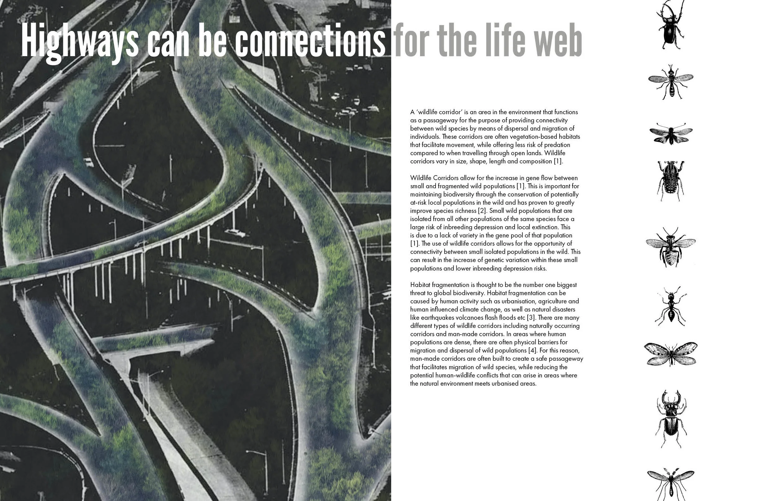 Tales from a City Reimagined_final3.jpg