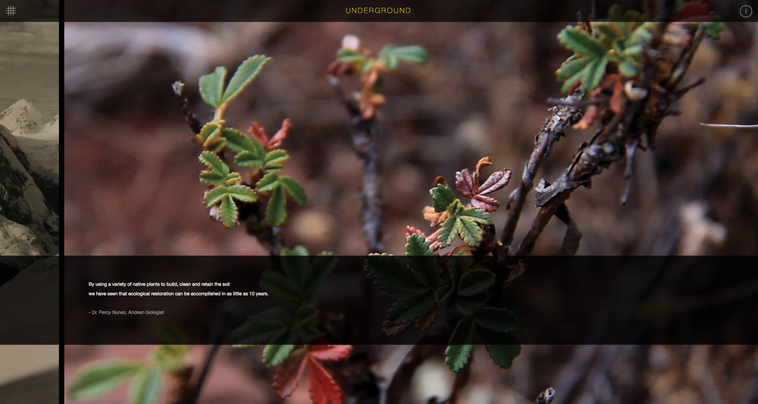 Screen Shot 2018-06-10 at 3.57.09 PM.png