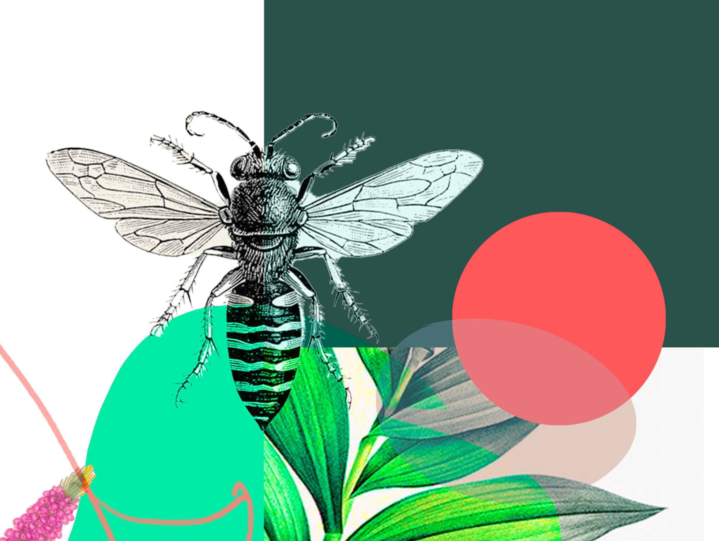 Screen Shot 2021-10-09 at 9.27.00 PM.png