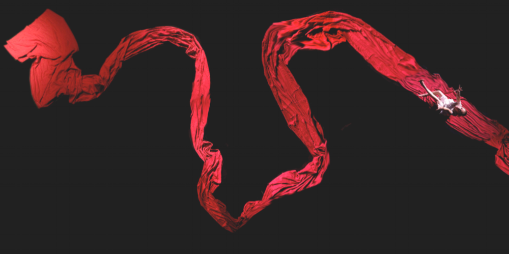 one photo header.png