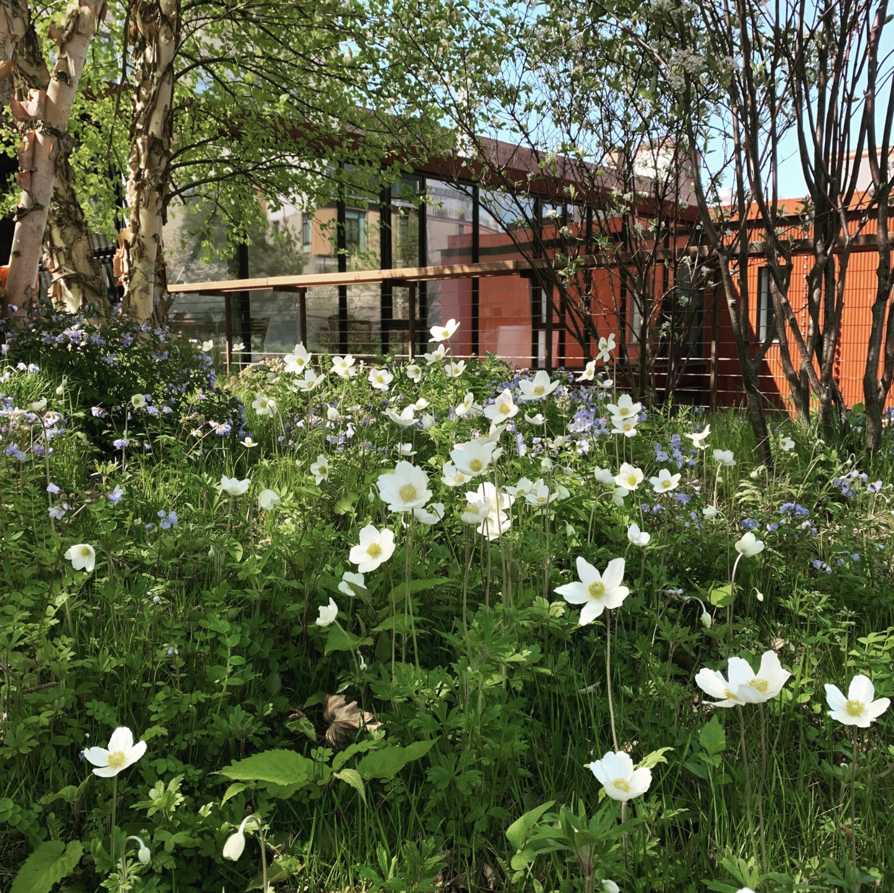 Screenshot 2026-01-10 at 6.31.47 PM.png