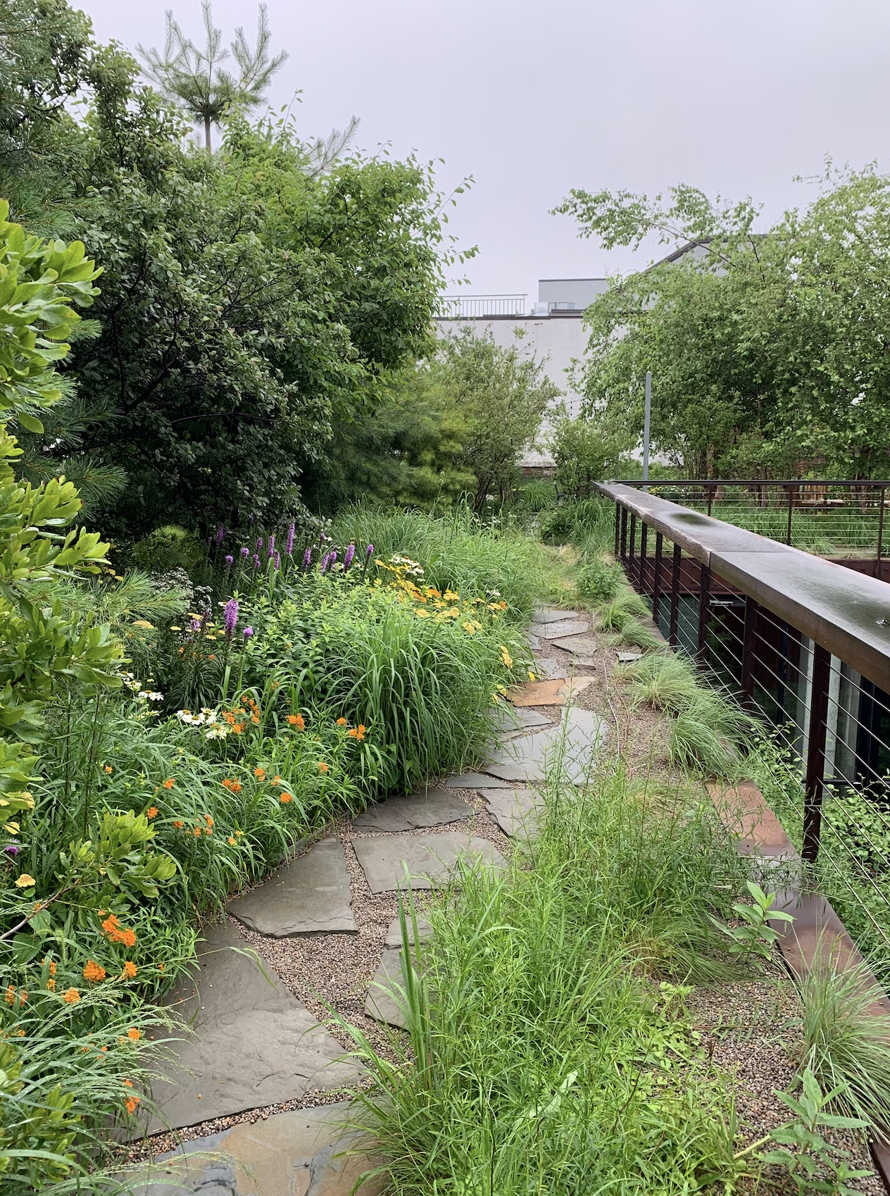 Screenshot 2026-01-10 at 7.08.02 PM.png