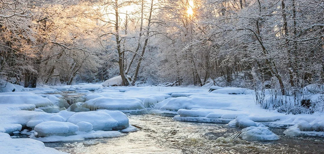 winter.jpeg