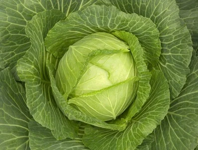 Get Your Green On