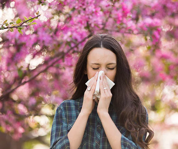 It’s Spring: A-a-cho-o!