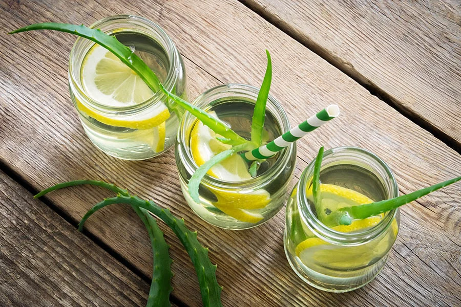 Amazing Aloe to Cool Your Summer