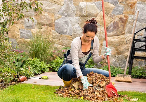 Preparing for the Season of Rest: Putting the Garden to Bed