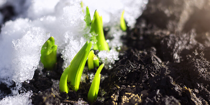 It’s a Quickening Season––Are You Ready? 