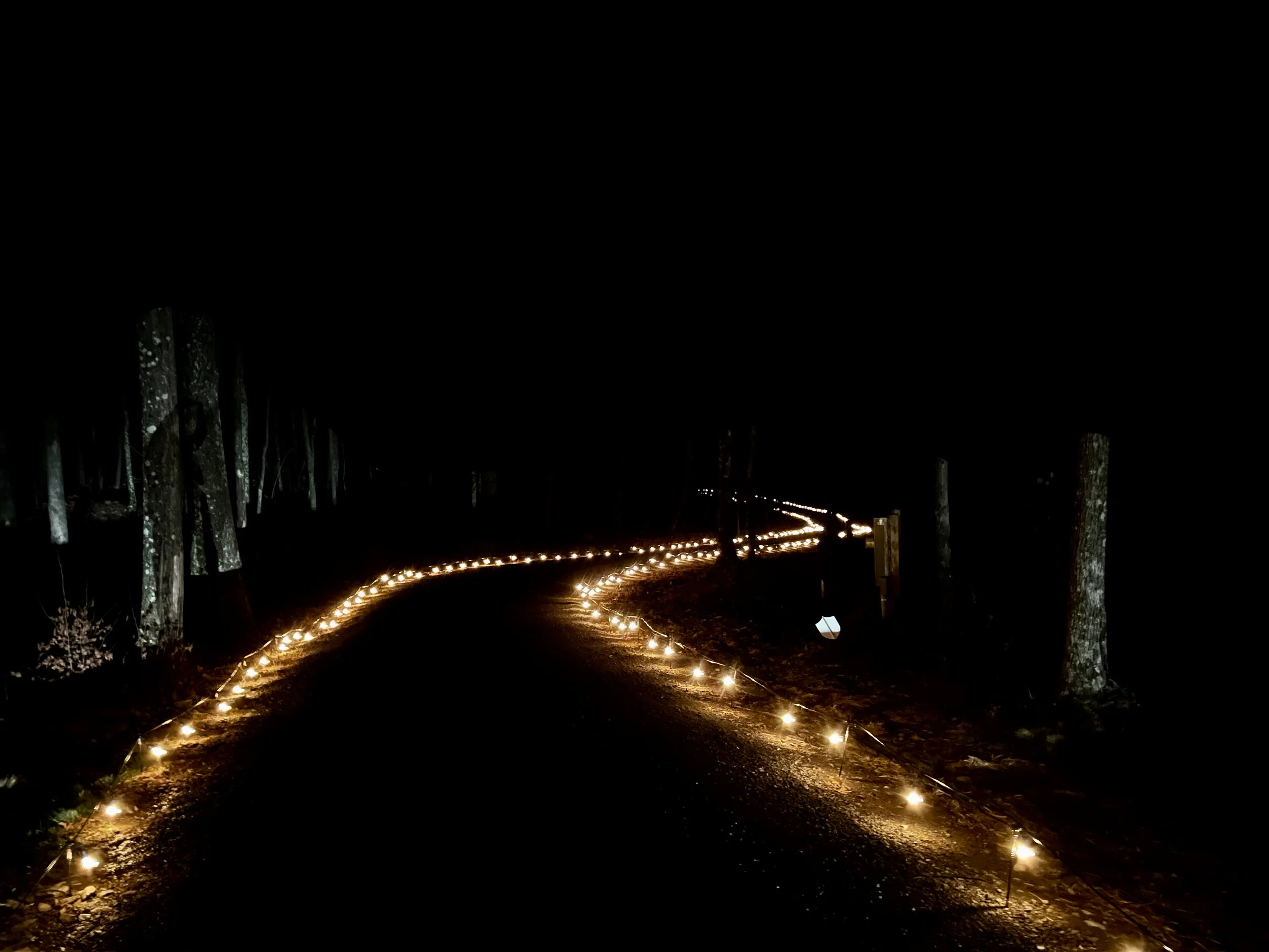 Driveway Lights