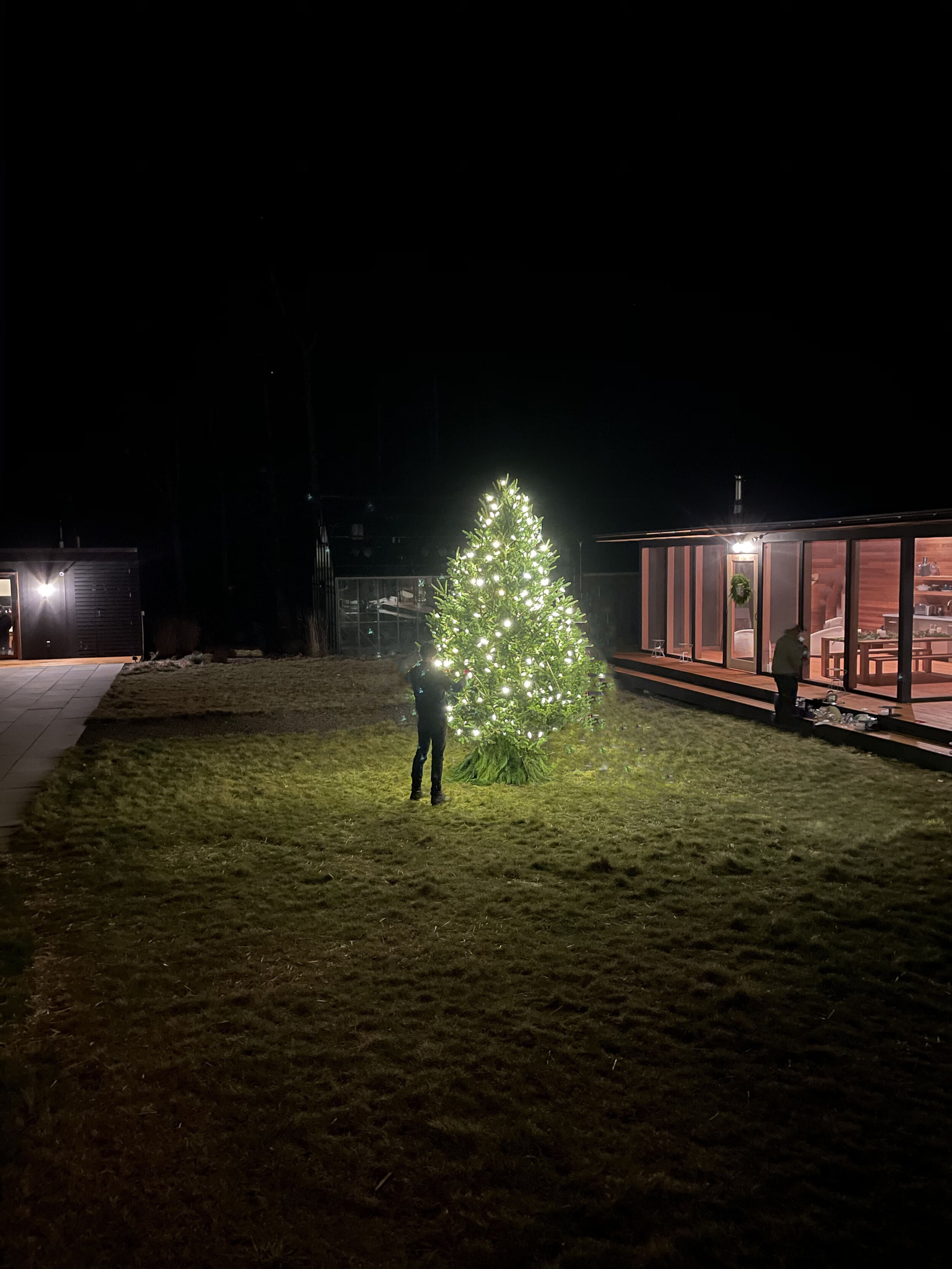 Farshot of Christmas Tree.jpg