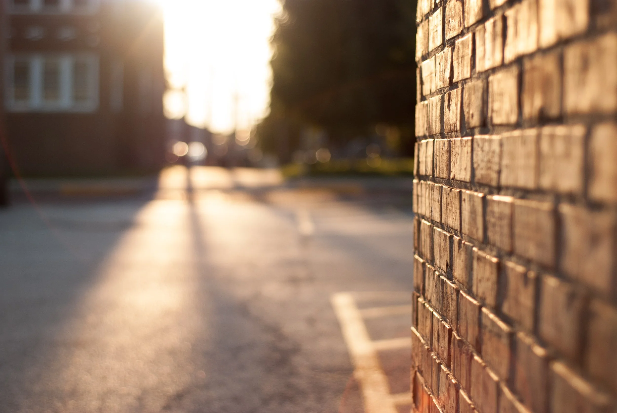 asphalt-blur-bricks-858076.jpg