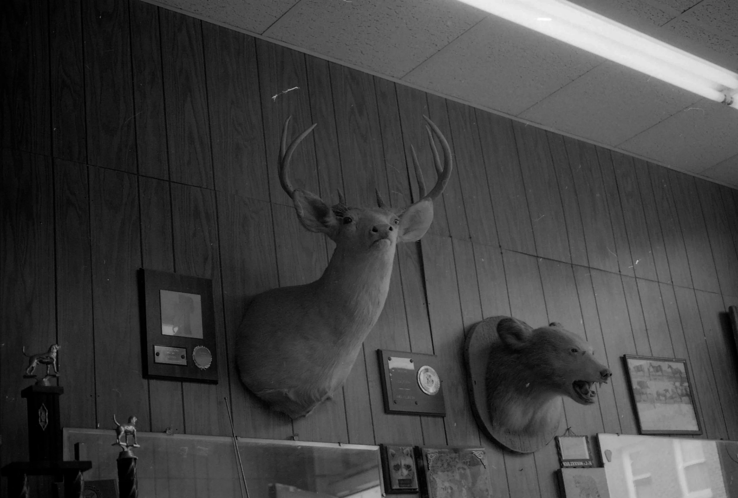 img142.jpg