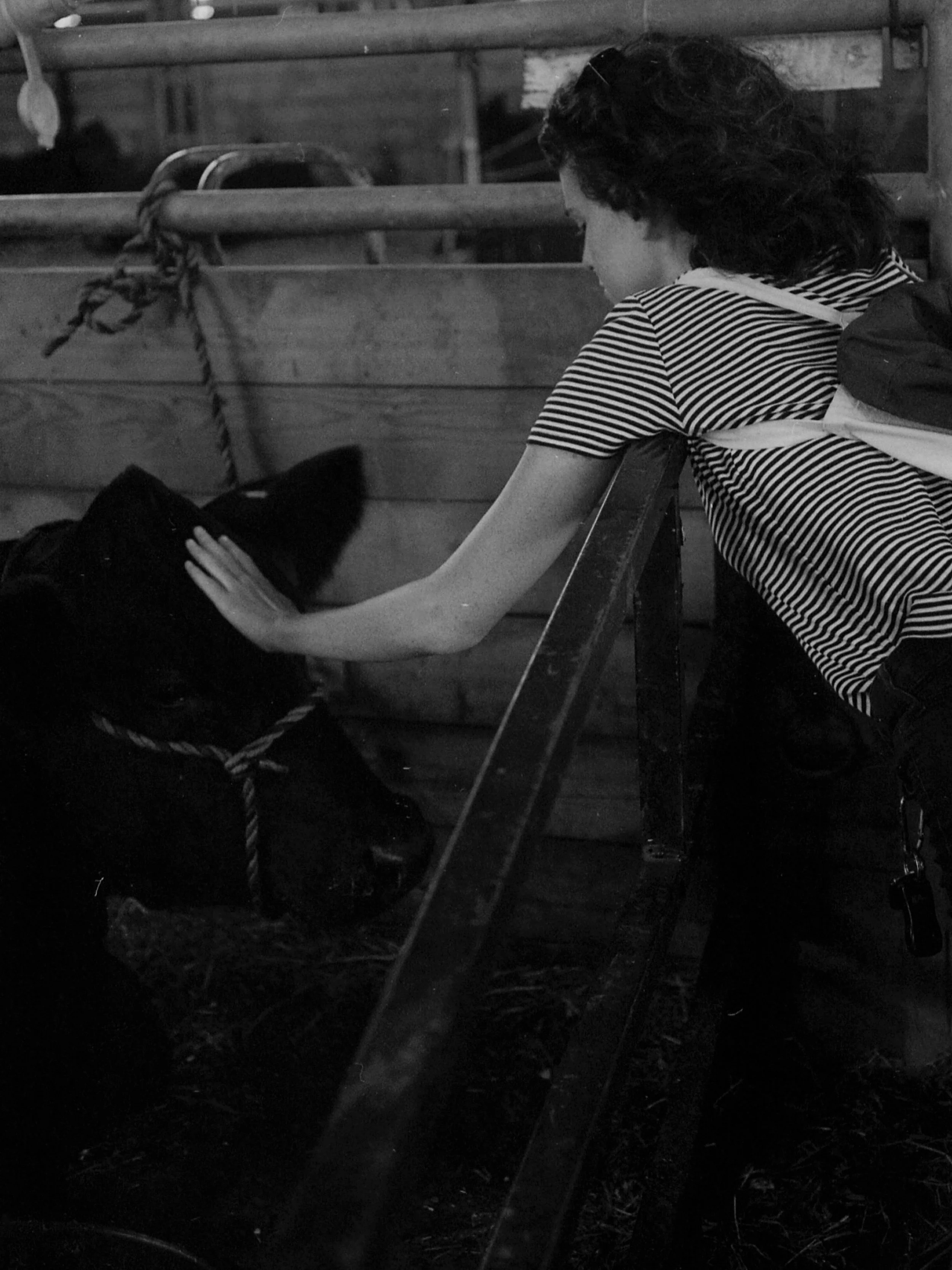 img370.jpg