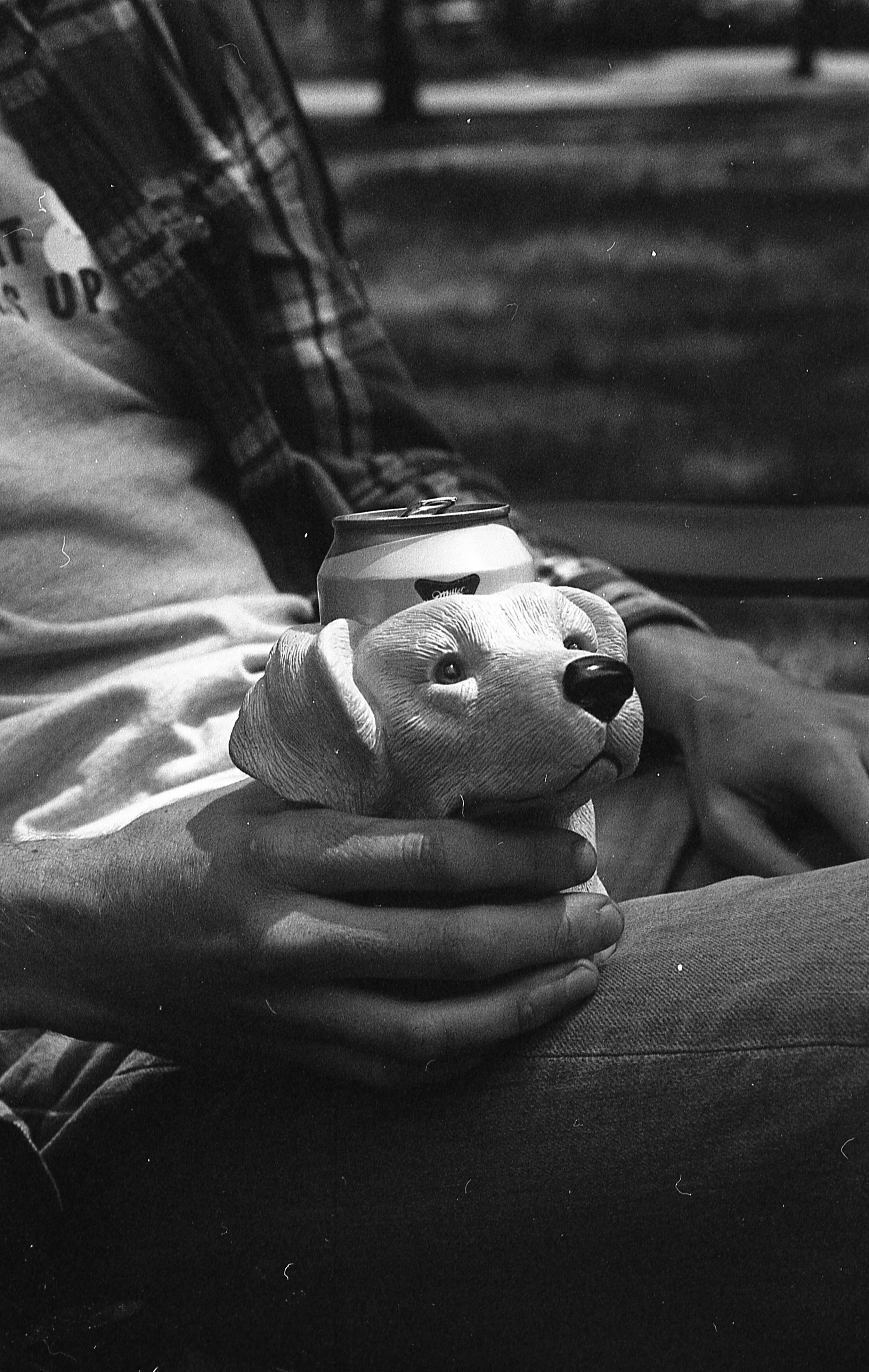 img851.jpg