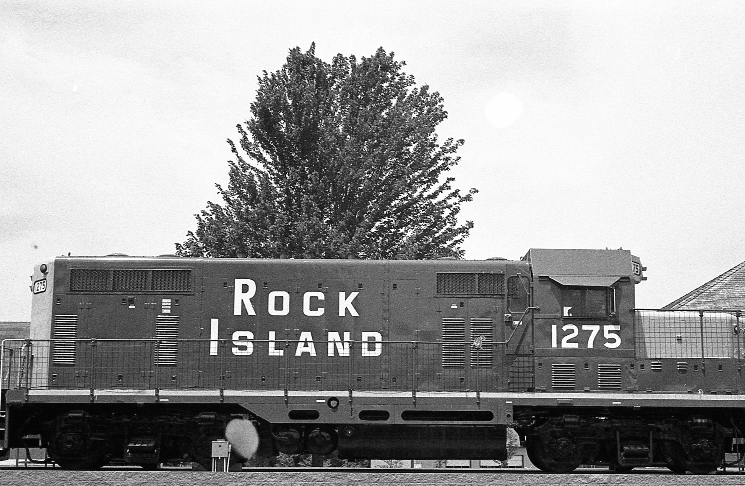 img015-2.jpg
