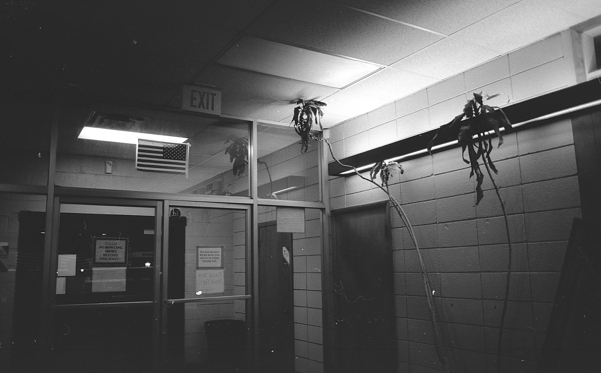 img426.jpeg