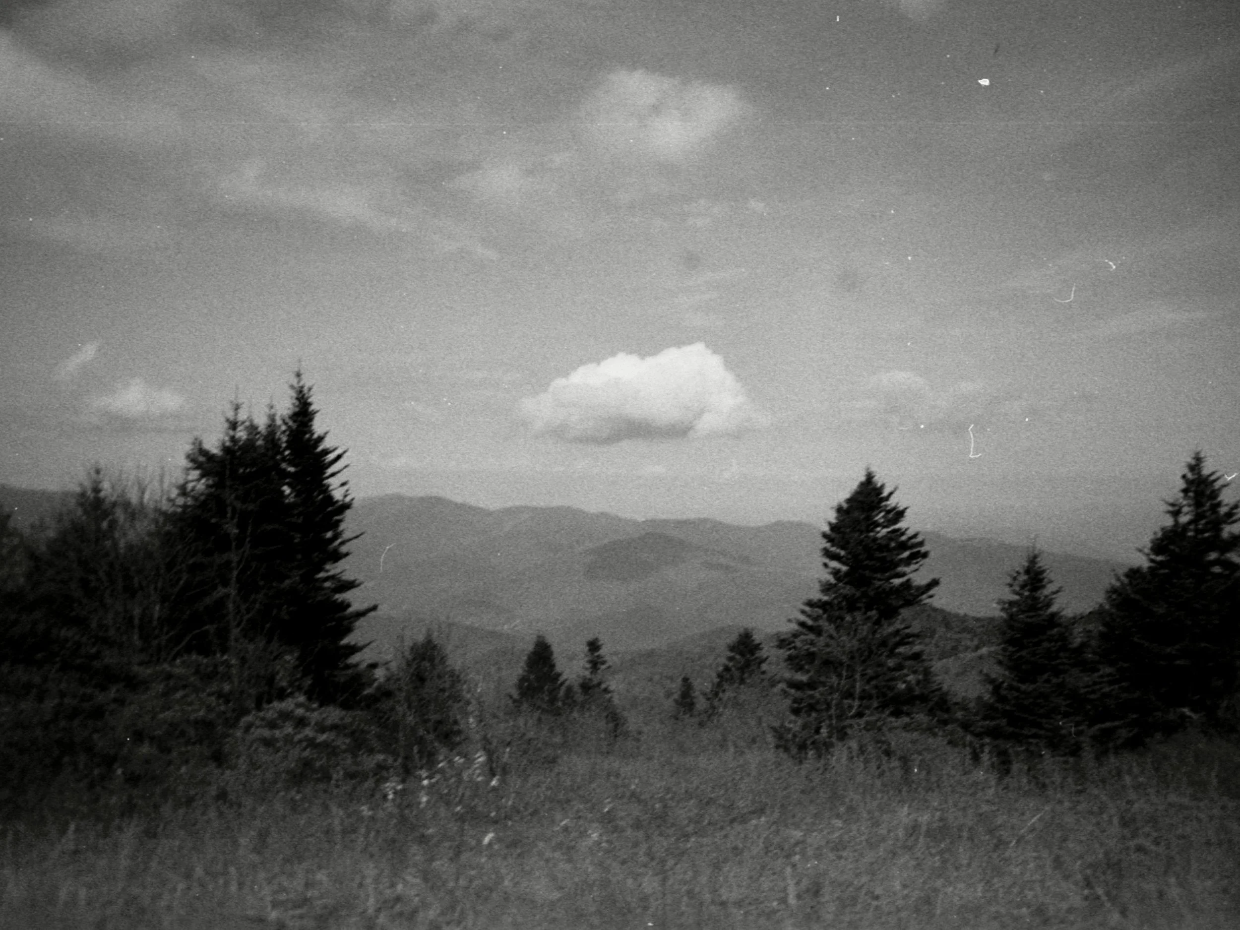 img20220528_18312351.jpg